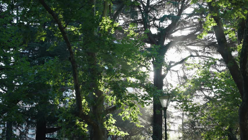 In the park at the royal exhibition hall in Melbourne Australia