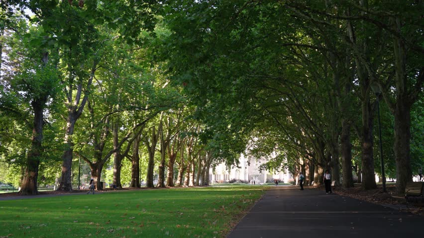 In the park at the royal exhibition hall in Melbourne Australia