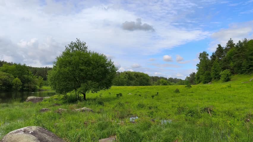 A grassy field with a tree in the middle of it.