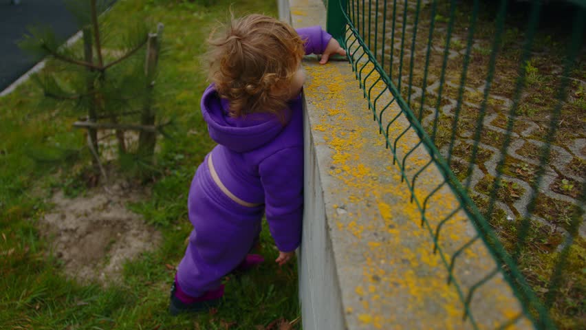 A toddler in a purple outfit curiously touches the fence while standing on a grassy area The scene captures the vibrant colors of autumn foliage and playful exploration