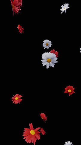 Flowers Bloom In Summer is alpha motion footage for natural  films and cinematic in commercial scene. Also good background for titles and logos.