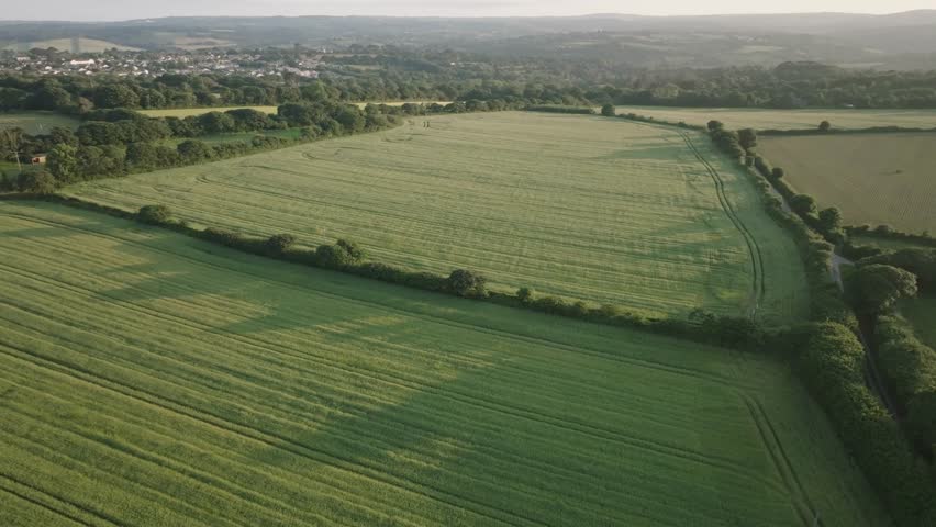 Farmed fields separated by hedgerows. Camera flight over field. Summer, Cornwall, UK.