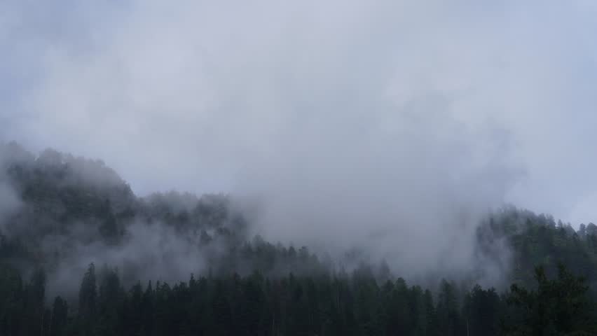 Misty Pine Forest Timelapse – Clouds Rolling Over Mountain Hills in Monsoon Timelapse Video
