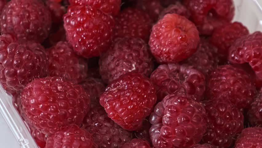 Macro shot of ripe, juicy red raspberries packed in a transparent plastic container. The camera slowly pulls back, revealing the full box of fresh fruit on a white background.