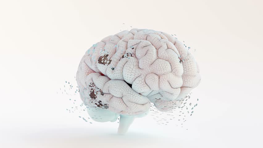 Brain simulation. Can be used in background elements related to Brain damage, degeneration or repair. Minimal idea concept. Animation Seamless loop and Alpha Channel. 3D Render. - Powered by Shutterstock - Get 15% off with code: PIKWIZARD15