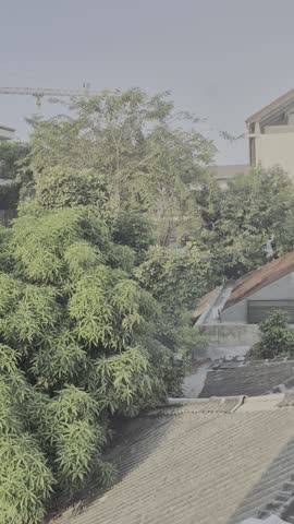 A quiet residential neighborhood, showcasing rooftops, foliage, homes, and buildings under soft natural light. Suitable for mobile storytelling, ads, or establishing shots in social media content.