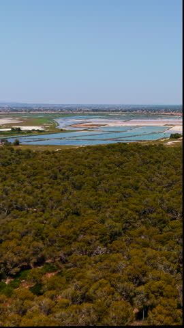 Panning view of colorful salt evaporation ponds over a green lush forest in trapani, sicily
