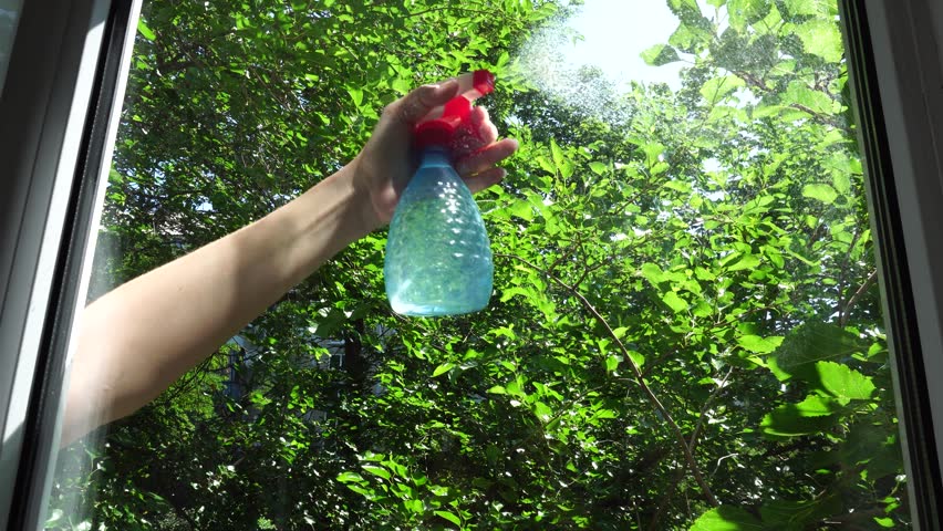 Housewife Cleaning Windows With Foam. Chores Sponge Cleaning Window Glass. Equipment For Washing. Cleanliness Care Maintenance. Household Chores Windows Cleaning Rag Glass Cleaner Detergent Soap Suds