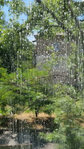 Housewife Cleaning Windows With Foam. Chores Sponge Cleaning Window Glass. Equipment For Washing. Cleanliness Care Maintenance. Household Chores Windows Cleaning Rag Glass Cleaner Detergent Soap Suds