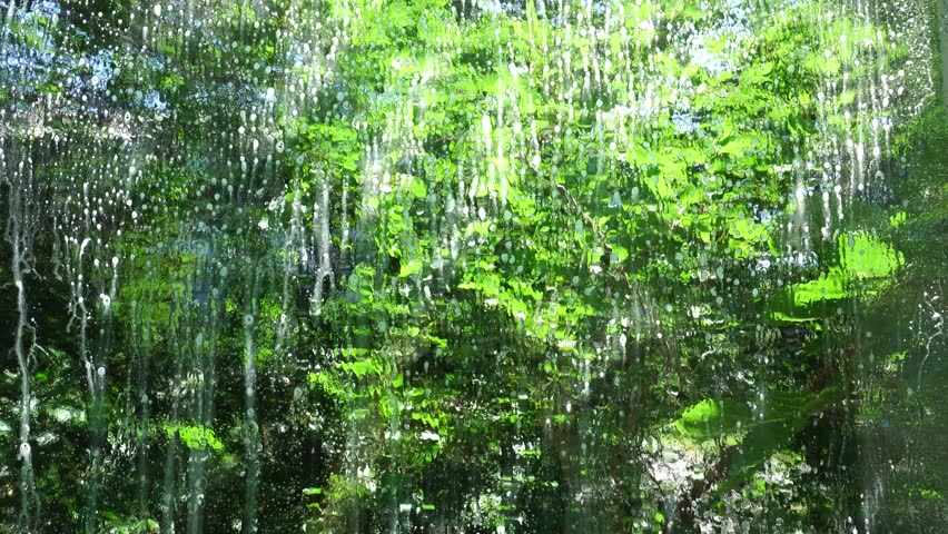Housewife Cleaning Windows With Foam. Chores Sponge Cleaning Window Glass. Equipment For Washing. Cleanliness Care Maintenance. Household Chores Windows Cleaning Rag Glass Cleaner Detergent Soap Suds