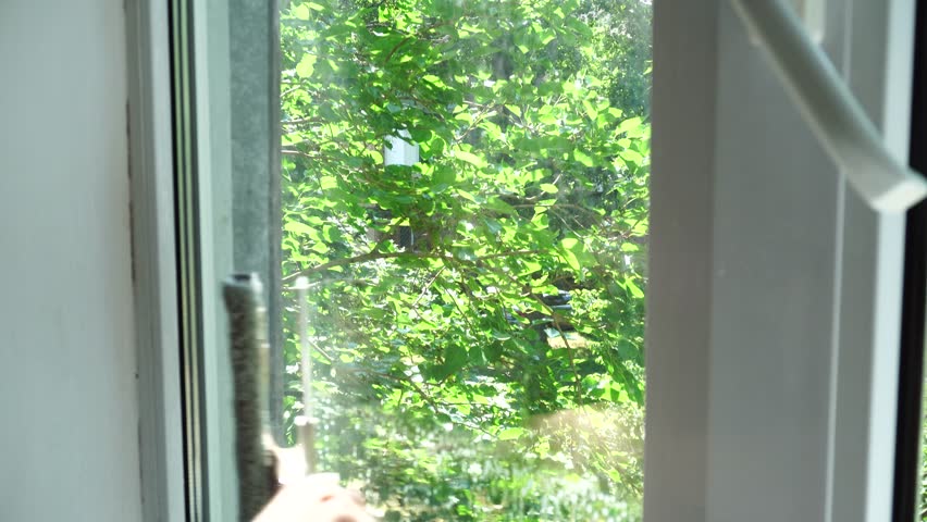 Housewife Cleaning Windows With Foam. Chores Sponge Cleaning Window Glass. Equipment For Washing. Cleanliness Care Maintenance. Household Chores Windows Cleaning Rag Glass Cleaner Detergent Soap Suds