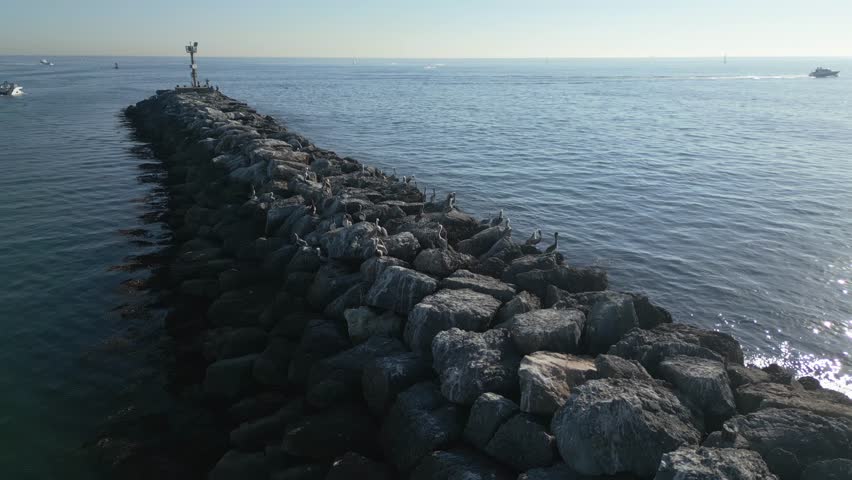 Parallax drone shot of birds on rocks near ocean in Newport (60fps)