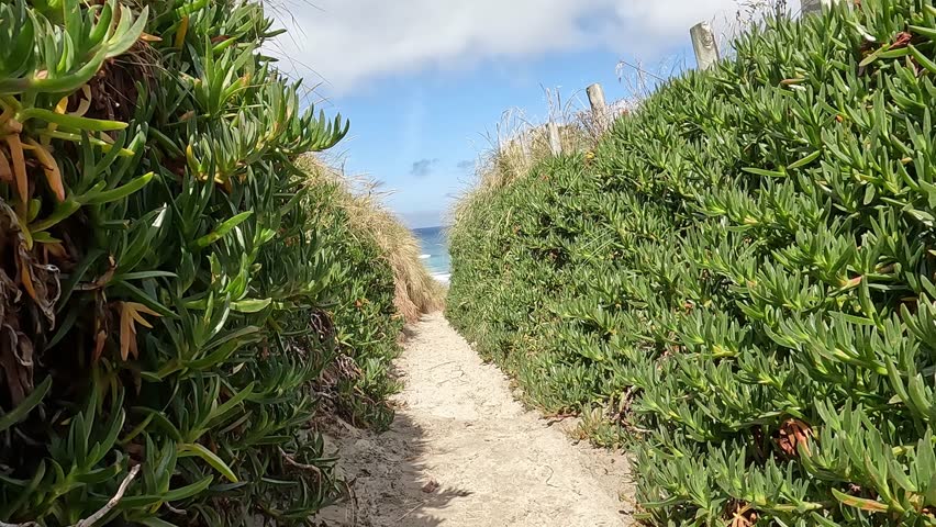 walk through the dunes to the sea