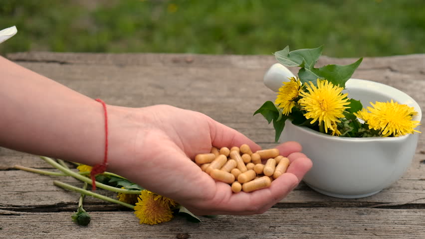 Dandelion extract and homeopathic supplements. Selective focus.