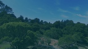 Faint outline grid starting data panels and gauge filling with metrics over forest monitoring river. Data visualization, dashboard, analytics, ecological monitoring, environmental analysis, digital - Powered by Shutterstock - Get 15% off with code: PIKWIZARD15