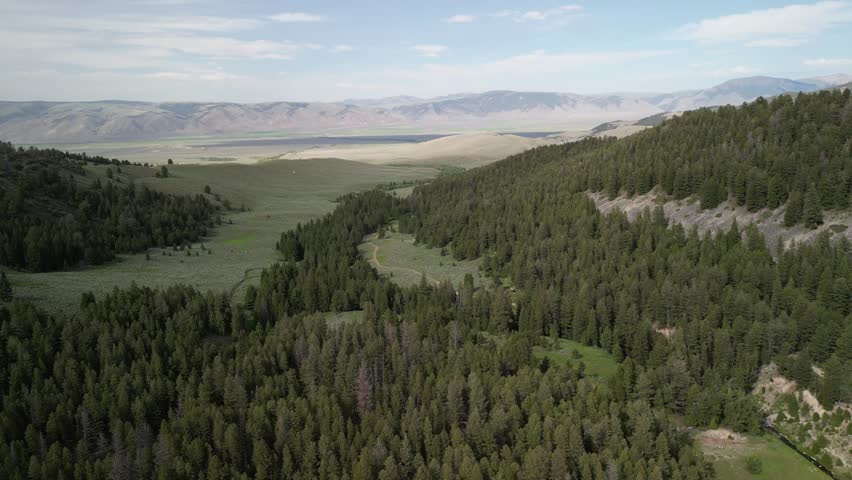 Aerial of dirt road through Salmon National Forest in Leadore Idaho in summer