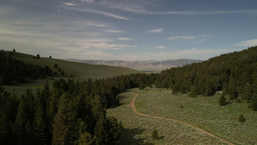 Low aerial over Salmon National Forest meadows and roads in Leadore Idaho in summer