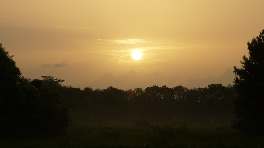 Green Cay Wetlands Nature Preserve, Boynton Beach, Florida - Sun Rises Over the Marsh in late June