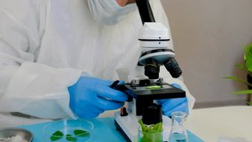 Research of plants in the laboratory. Selective focus. - Powered by Shutterstock - Get 15% off with code: PIKWIZARD15