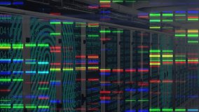 Server racks waiting idle until data bars starting scrolling and pulsing simulating transfer flow. Technology, cybersecurity, digital, data, infrastructure, networking, futuristic - Powered by Shutterstock - Get 15% off with code: PIKWIZARD15