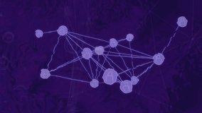 Central user icon pulsing and sending lines to purple nodes network densifying showing connectivity. Technology, connectivity, digital, network, communication, globalization, cyberspace - Powered by Shutterstock - Get 15% off with code: PIKWIZARD15