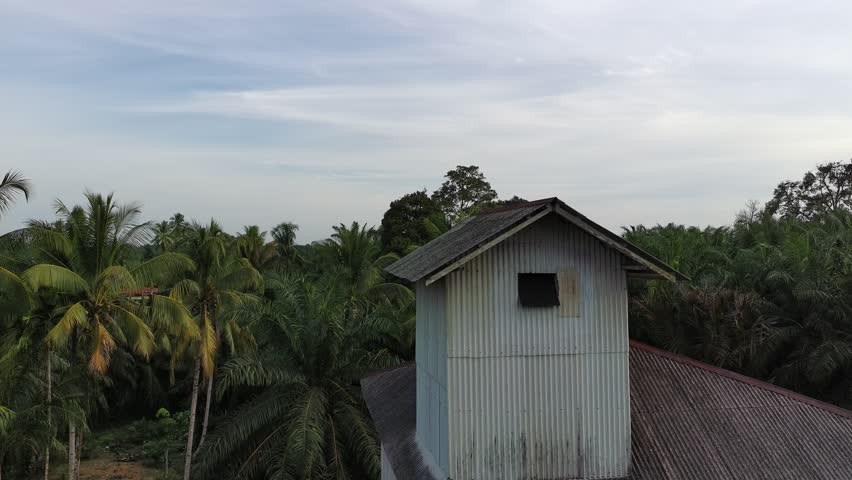 Swallow house in the afternoon