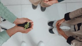 Above, team and hands of business people with plants for sustainability, climate change and charity. Ecology, collaboration and workers with sprout for conservation, eco friendly company and support - Powered by Shutterstock - Get 15% off with code: PIKWIZARD15