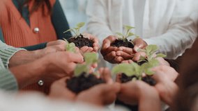 Team, plant and hands of business people in office for sustainability, climate change and charity. Growth, collaboration and workers with sprout for conservation, eco friendly company and support - Powered by Shutterstock - Get 15% off with code: PIKWIZARD15