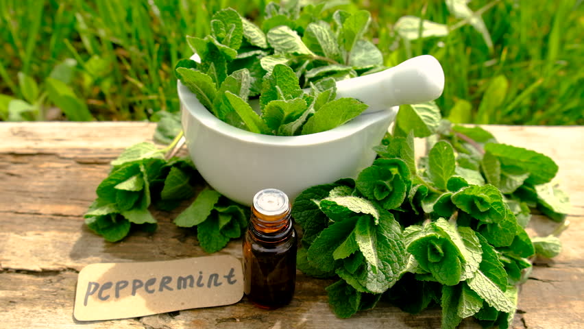 Peppermint extract essential oil and supplements. Selective focus.