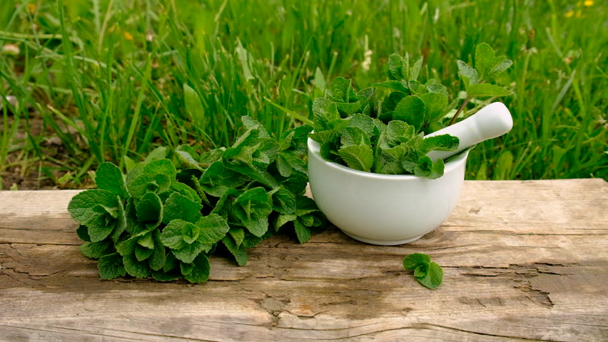 Peppermint extract essential oil and supplements. Selective focus.