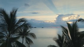 Drone flying through palm trees to sea. Crepuscular rays filtering through cloudy sky illuminate tranquil ocean scene, framed by swaying palm trees, creating serene tropical paradise at sunset - Powered by Shutterstock - Get 15% off with code: PIKWIZARD15