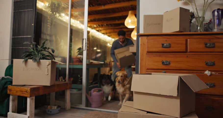 Moving, boxes and couple with dog in new home, rental apartment and property for homeownership. Real estate, happy and woman with man, pet and packing for relocation, mortgage and house investment