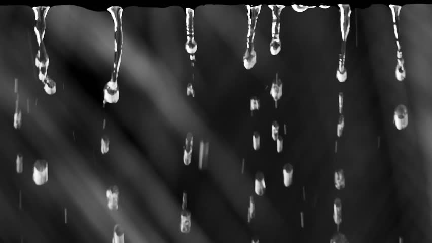 Rain-kissed Canopy: A mesmerizing snapshot of raindrops cascading through a lush green canopy, conveying a serene and tranquil ambiance.