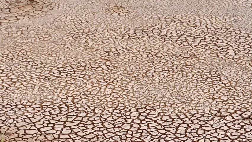 Cracked Earth Texture: A detailed aerial perspective showcases the raw, arid beauty of drought-stricken terrain, with a close-up view of intricate cracks.