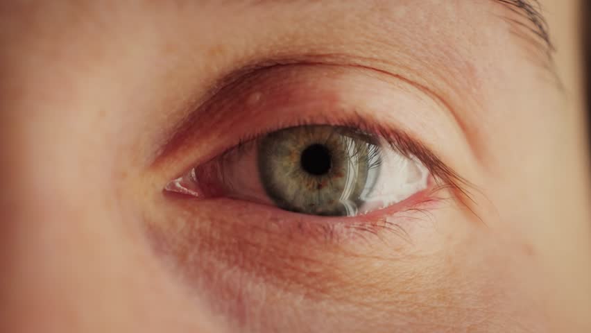 Close-up of person