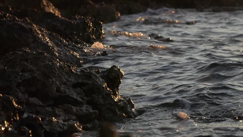 A close-up shot captures the gentle lapping of water against a rocky, earthy shoreline, with subtle ripples and reflections on the surface. The scene evokes a sense of tranquility and natural beauty, 