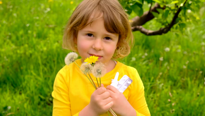 Shutterstock Video