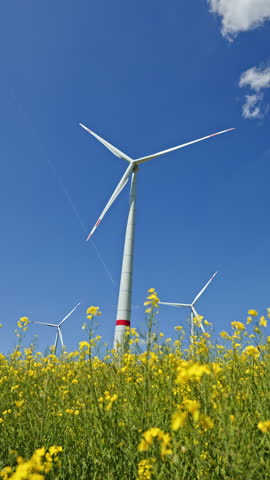 Wind turbine field in green field. Wind farm with blue sky and green agricultural field, also wind turbine park in Europe.