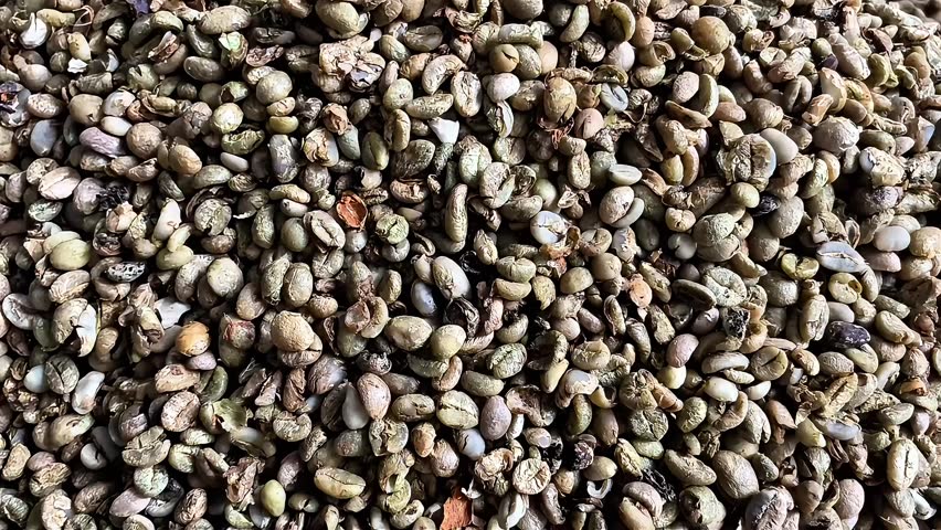 freshly roasted coffee beans for grinding