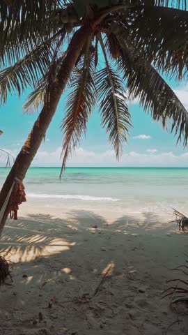 Tropical beach with coconut palm tree and ocean. Summer vacation in tropical paradise concept 4K
