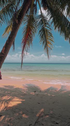 Tropical beach with coconut palm tree and ocean. Summer vacation in tropical paradise concept 4K