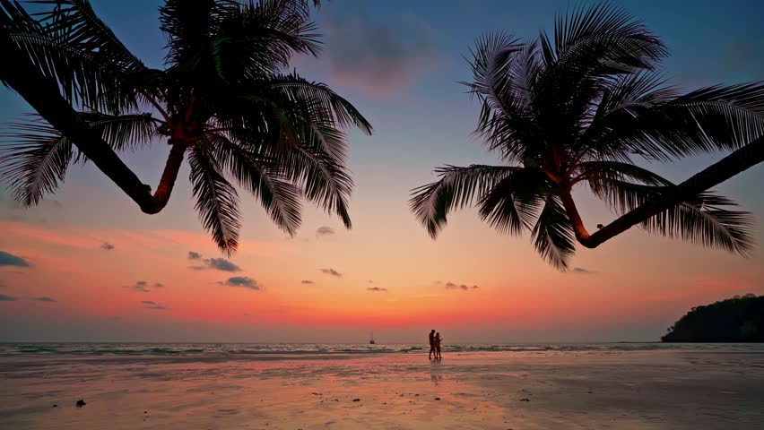 Tropical beach with scenery coconut palm tree and colorful sunset above ocean. Summer vacation in tropical paradise concept 4K