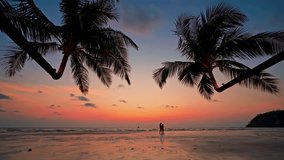 Tropical beach with scenery coconut palm tree and colorful sunset above ocean. Summer vacation in tropical paradise concept 4K - Powered by Shutterstock - Get 15% off with code: PIKWIZARD15