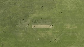 Drone, field and cricket with sports, people and competition with exercise, fitness or running in summer. Above pitch, athlete group and contest for international test match, games or action in India - Powered by Shutterstock - Get 15% off with code: PIKWIZARD15