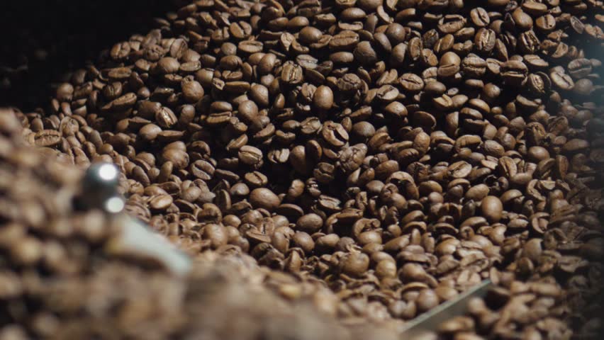 Roasting coffee beans mixing intensely inside industrial roaster, rotating metal shovel stirring freshly roasted beans while achieving optimal color and flavor development