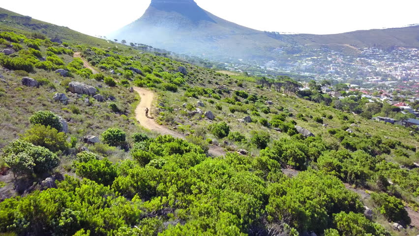Alongside Lions Head. 4k aerial drone footage of a cyclist on Lions Head mountain.
