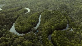 Aerial drone shot of a tropical river winding through dense mangrove forest in Cambodia, showcasing lush greenery and natural waterways - Powered by Shutterstock - Get 15% off with code: PIKWIZARD15