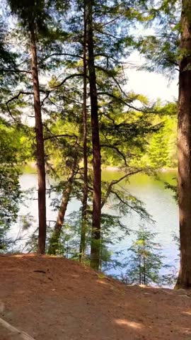 Algonquin Provincial Park, located in Ontario, Canada, is one of the country’s most iconic and oldest provincial parks. Known for its vast forests, scenic lakes, and rich wildlife.