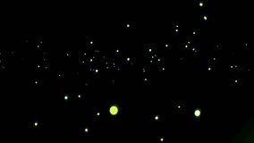 Glowing fireflies or floating orbs in night darkness - Powered by Shutterstock - Get 15% off with code: PIKWIZARD15