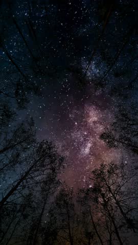 Time lapse of the spectacular Milky Way with its galactic core. Vertical design in 9:16 ratio. Smartphone and social media ready.
